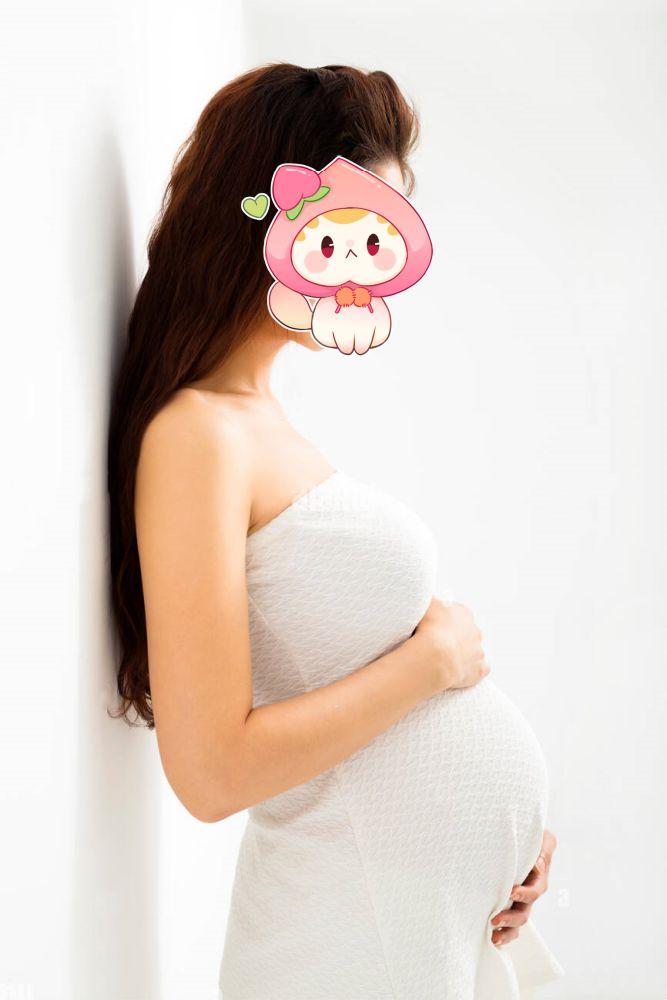 助孕妈妈公司现状